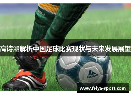 高诗涵解析中国足球比赛现状与未来发展展望